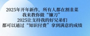 2025年开年新作,所有人都在割韭菜,我来教你做“镰刀” 2025让支持我的好兄弟们都可以通过“知识付费”拿到满意的成绩【揭秘】-淘金日记