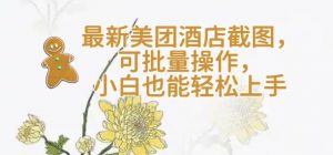 【轻云】最新美团酒店截图，可批量操作，小白也能轻松上手-淘金日记