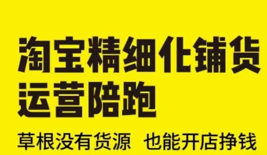 淘宝精细化铺货运营陪跑(部分更新至2025),草根没有货源 也能开店挣钱-淘金日记