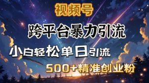 跨平台暴力引流，私域完美闭环，日引500+精准创业粉-淘金日记