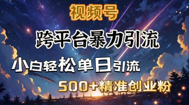 跨平台暴力引流，私域完美闭环，日引500+精准创业粉-淘金日记