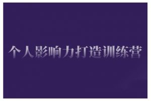 个人影响力打造训练营,掌握公域引流、私域运营、产品定位等核心技能,实现从0到1的个人IP蜕变-淘金日记