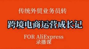 跨境电商速卖通运营课,运营方法论+后台实操,逻辑清晰-淘金日记