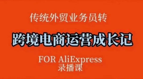 跨境电商速卖通运营课,运营方法论+后台实操,逻辑清晰-淘金日记