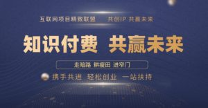 别人苦寻无果,为何他们靠知识付费卖项目 2025 年轻松年入100个?【揭秘】-淘金日记