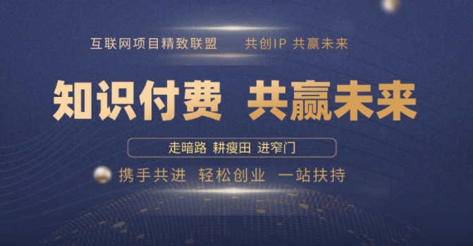别人苦寻无果,为何他们靠知识付费卖项目 2025 年轻松年入100个?【揭秘】-淘金日记
