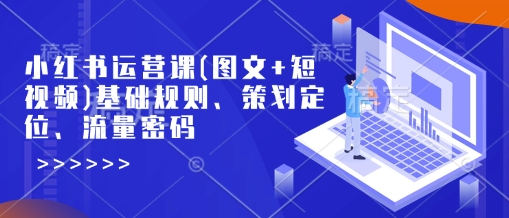 小红书运营课(图文+短视频)基础规则、策划定位、流量密码-淘金日记