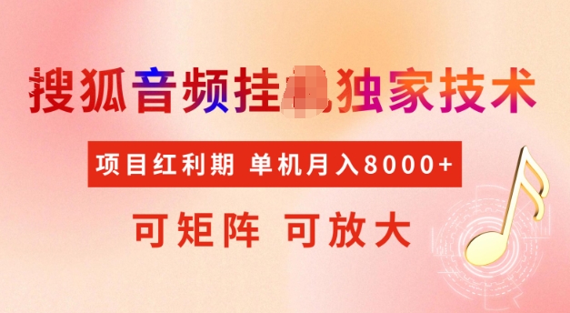 首发搜狐音频挂JI，项目红利期，可矩阵可放大，稳定月入5k【揭秘】-淘金日记