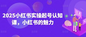 2025小红书实操起号认知课,小红书的魅力-淘金日记