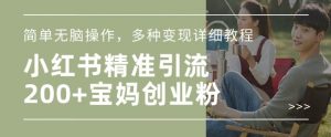 小红书混剪日引200+宝妈创业粉，简单无脑操作，多种变现详细教程-淘金日记