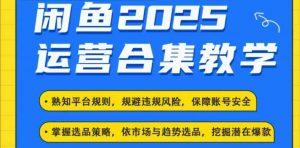 2025闲鱼电商运营全集,2025最新咸鱼玩法-淘金日记