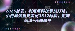 2025首发，利用黑科技带货打法，小白测试当天卖出3612利润，矩阵玩法+无限账号【揭秘】-淘金日记