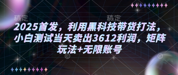 2025首发，利用黑科技带货打法，小白测试当天卖出3612利润，矩阵玩法+无限账号【揭秘】-淘金日记