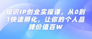 知识IP创业实操课，从0到1快速孵化，让你的个人品牌价值百W-淘金日记