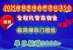 2025视频号纯自然流玩法5.0,全程托管高佣金,极简爆款门槛低,单日收益多张【揭秘】-淘金日记