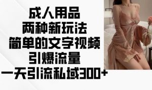 成人用品两种新玩法,简单的文字视频引爆流量,一天引流私域300+-淘金日记