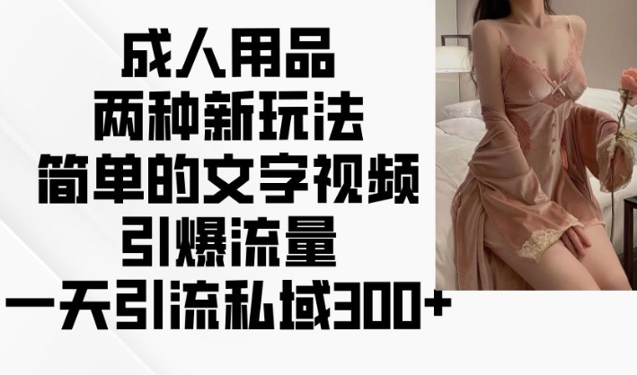 成人用品两种新玩法,简单的文字视频引爆流量,一天引流私域300+-淘金日记