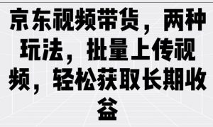 京东视频带货,两种玩法,批量上传视频,轻松获取长期收益-淘金日记