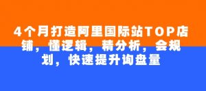 4个月打造阿里国际站TOP店铺，懂逻辑，精分析，会规划，快速提升询盘量-淘金日记
