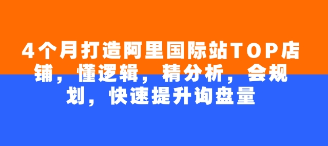 4个月打造阿里国际站TOP店铺,懂逻辑,精分析,会规划,快速提升询盘量-淘金日记