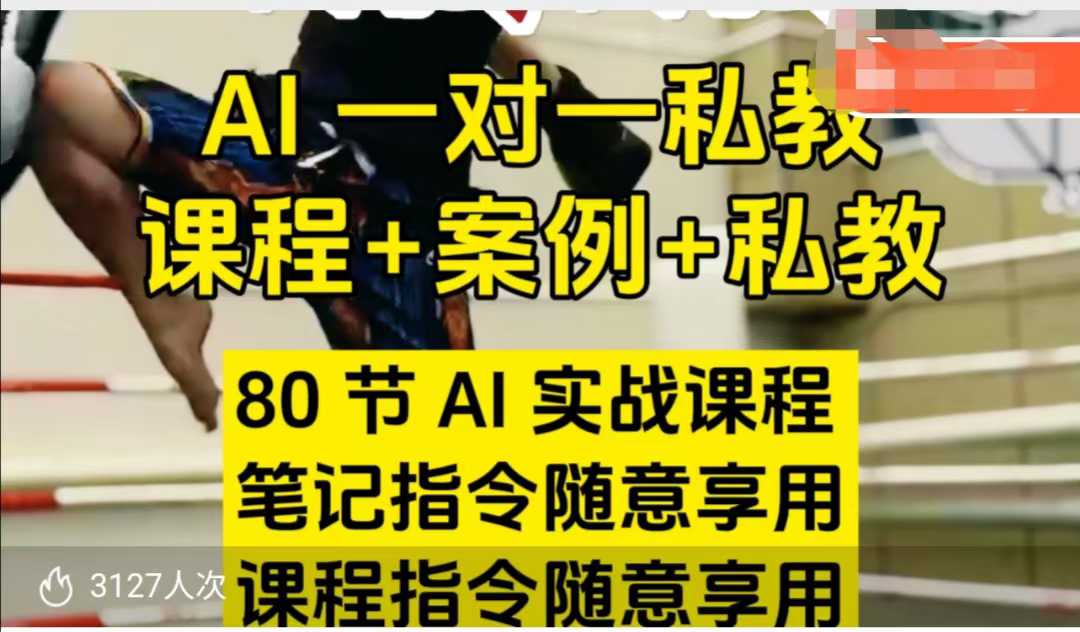 AI指令实战课,课程+案例,80节AI实战课程,笔记指令随意享用,课程指令随意享用-淘金日记