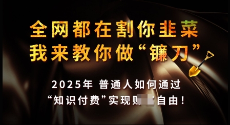 知识付费如何做到月入过W+，2025我来教你做“镰刀”【揭秘】-淘金日记
