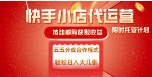 快手小店代运营，被动躺Z收益，收益五五分，单日稳定变现五张【揭秘】-淘金日记