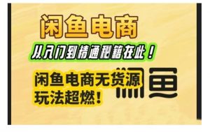闲鱼电商实战课，从入门到精通秘籍在此，闲鱼电商无货源玩法超燃!-淘金日记