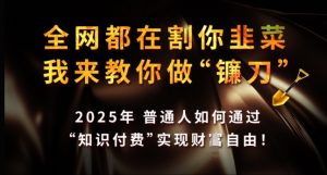 全网都在割你韭菜,我来教你做镰刀,2025年普通人如何通过 知识付费 实现财F自由【揭秘】-淘金日记