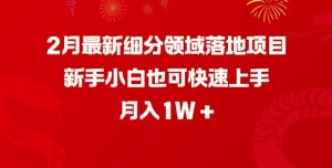 2月最新细分领域落地项目,新手小白也可快速上手,月入1W-淘金日记
