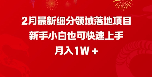 2月最新细分领域落地项目,新手小白也可快速上手,月入1W-淘金日记