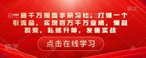 一品千万操盘手研习社,打爆一个引流品,实现百万千万业绩,爆品裂变,私域升单,发售实战-淘金日记