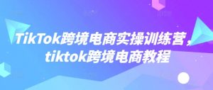 TikTok跨境电商实操训练营，tiktok跨境电商教程-淘金日记