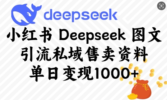 小红书Deepseek图文引流私域售卖资料，单日变现多张-淘金日记