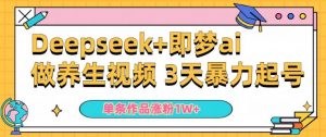 小白用DeepSeek+即梦做ai养生视频,一条作品涨粉5万+,单日收益多张-淘金日记