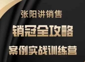 张阳讲销售实战训练营,案例实战训练,销冠全攻略-淘金日记