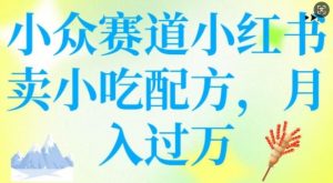 小众赛道小红书卖小吃配方，操作简单，月入过W-淘金日记