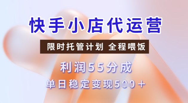 快手小店代运营3.0,模式新升级,收益55分,稳定单日5张【揭秘】-淘金日记