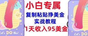 复制粘贴挣美金，0门槛，1天收入95美刀，3分钟学会，内部教程(首次公开)-淘金日记