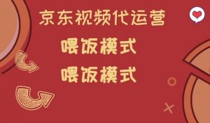 京东短视频代运营，喂饭模式，小白轻松上手【揭秘】-淘金日记