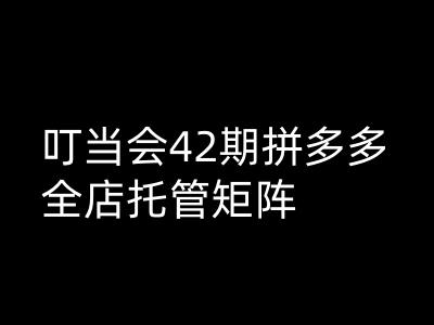 叮当会拼多多打爆班原创高阶技术第42期,拼多多全店托管矩阵-淘金日记