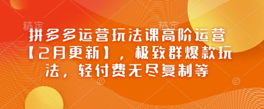 拼多多运营玩法课高阶运营【2月更新】,极致群爆款玩法,轻付费无尽复制等-淘金日记