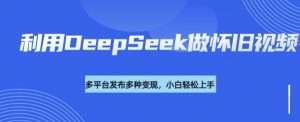 利用DeepSeek做怀旧视频,流量号多渠道变现能力强-淘金日记