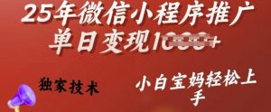 25年微信小程序推广单日变现多张,独家技术,小白宝妈轻松上手【揭秘】-淘金日记