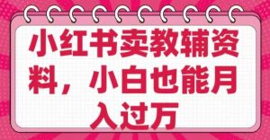 小红书卖教辅资料,0 成本,纯利润,售后成本极低,小白也能月入过W-淘金日记