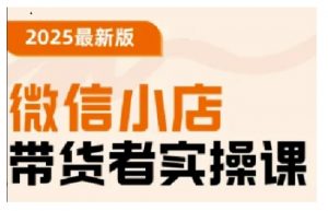 2025最新版微信小店带货者实操课,基础操作到高级运营技巧,快速上手-淘金日记