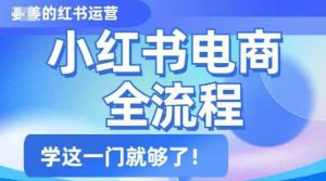 小红书电商全流程,精简易懂,从入门到精通,学这一门就够了-淘金日记