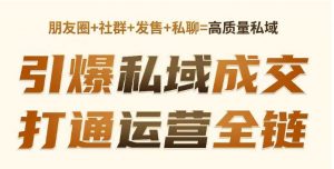 高成交私聊转化,引爆私域成交,打通运营全链-淘金日记