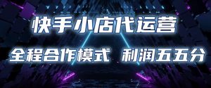 快手小店代运营 限时托管计划 合作模式 利润五五分成【揭秘】-淘金日记