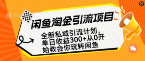 闲鱼淘金私域引流计划,从0开始玩转闲鱼,副业也可以挣到全职的工资-淘金日记
